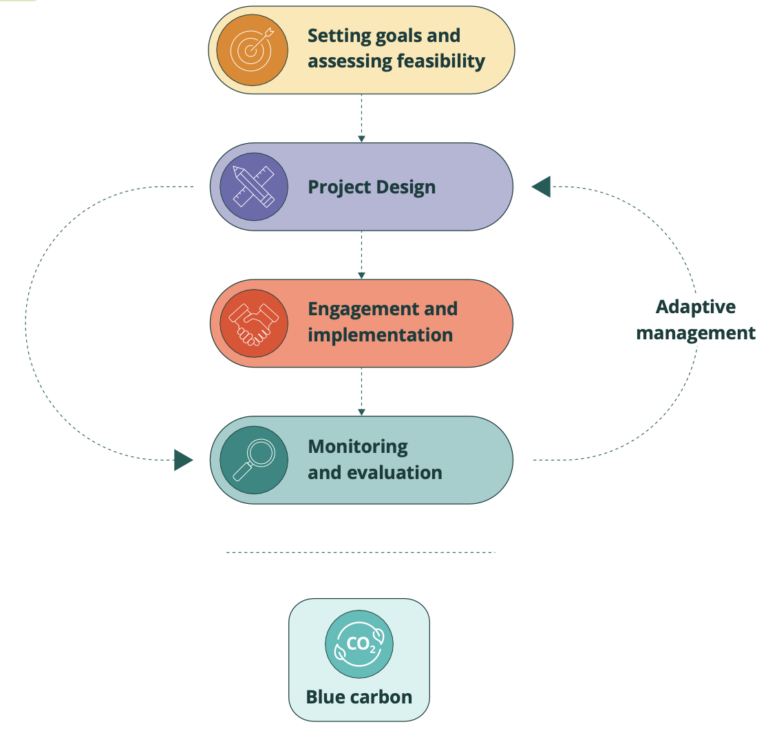 Best Practice Guidelines For Mangrove Restoration Weadapt