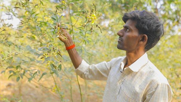 Kishan Kashinath Kondar, on his farm in Purushwadi, Ahmednagar district, Maharashtra.