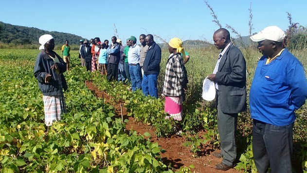 Farmers meet with extension service representatives in Dororo district, Mozambique.