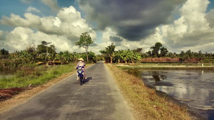 dark grey cloudy sky in top of image, road inbetween rice fields in bottom half of image, cyclist on road