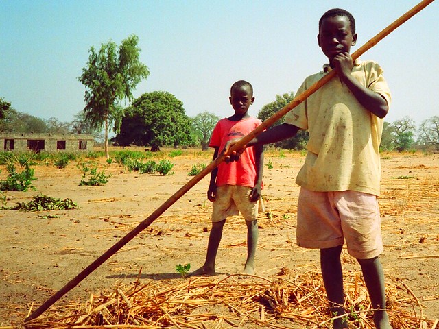 Pakalinding young farmers, The Gambia, by Gerry Popplestone