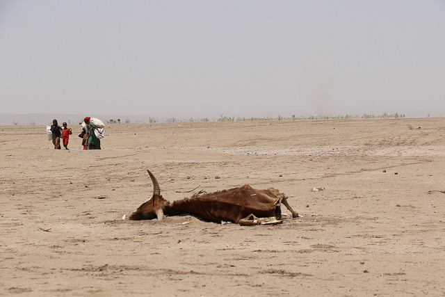 European Commission DG ECHO - Ethiopia: EU boosts aid in response to El Niño drought [Flickr]