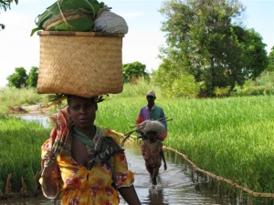 Woman carrying goods through the flood waters in Malawi (photo: Gina Ziervogel)
