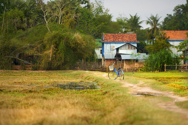 Bicycle parked on a field path in rural Cambodia, by Bryon Lippincott via Flickr.