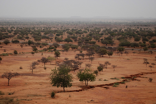 Landscape of the Sahel.