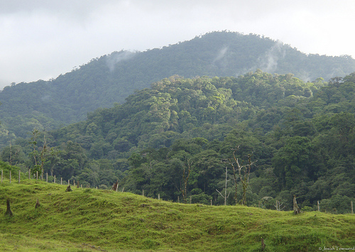 Forested mountains in Honduras.