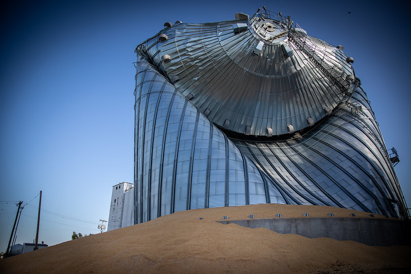 A grain bin full of corn after the destruction of a derecho in 2020. Photo: Phil Roeder / Flickr.