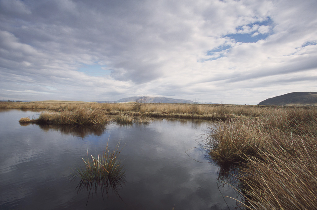 Loch Leven Nature Reserve