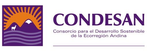 Condesan logo