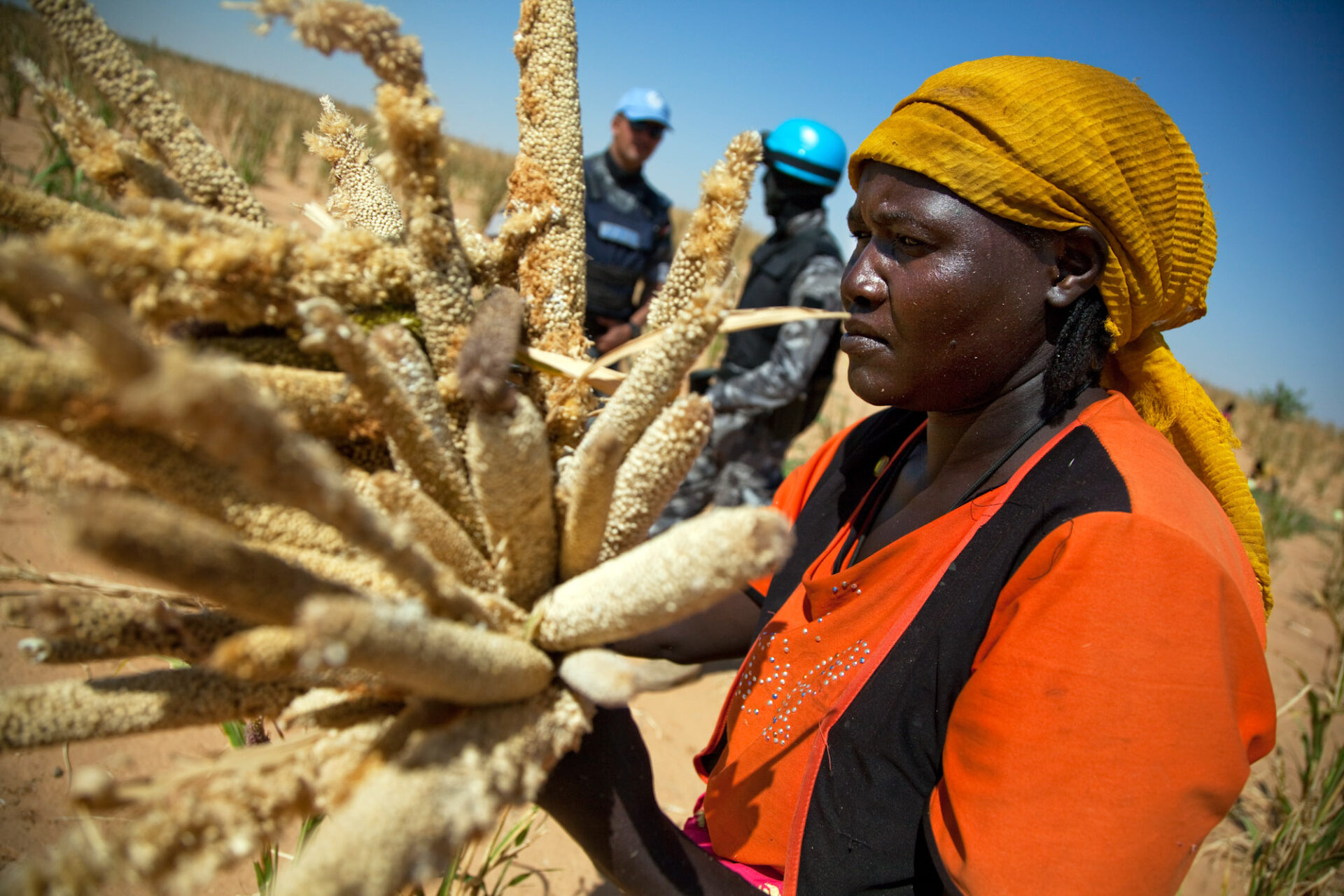 Woman collects millet in Saluma Area, Jordan, escorted by peacekeepers