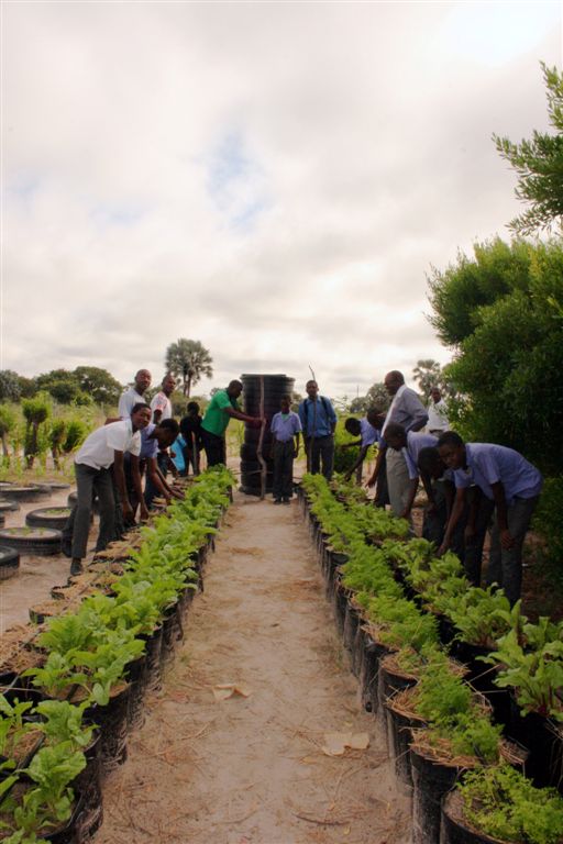 Drip irrigation system at Onamulunga School