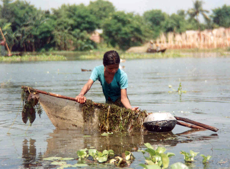 Woman fishing in Bangladesh