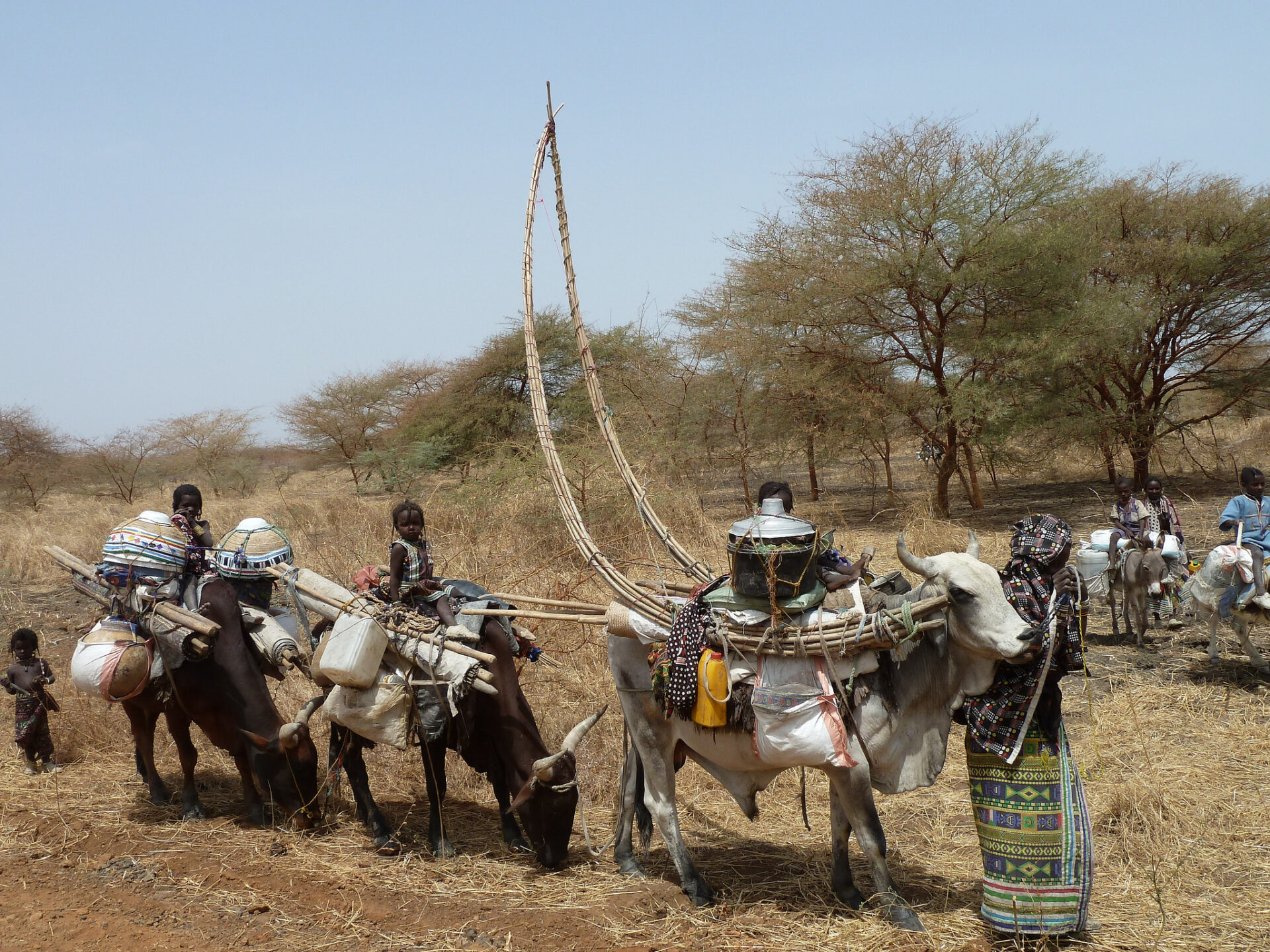 A famiy of Falatta nomads making their abbual journey from Sudan to South Sudan. Credit: BBC World Service (https://www.flickr.com/photos/bbcworldservice)