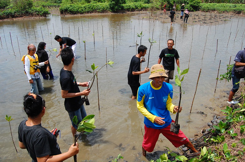 Group planting mangrove in Indonesia. Ikhlasul Amal (CC BY-NC 2.0).