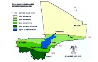 Overview of Climate Change and Adaptation in Mali - weADAPT