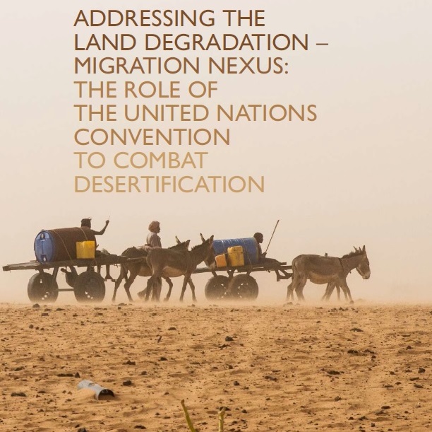 Addressing the land degradation-migration nexus thumbnail