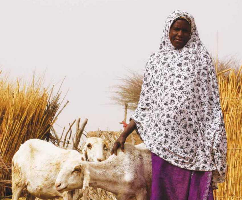 Cover image: Mariam Chaibou of Maigochi village in Niger with the two of the four goats she has received through ALP’s small ruminants scheme.