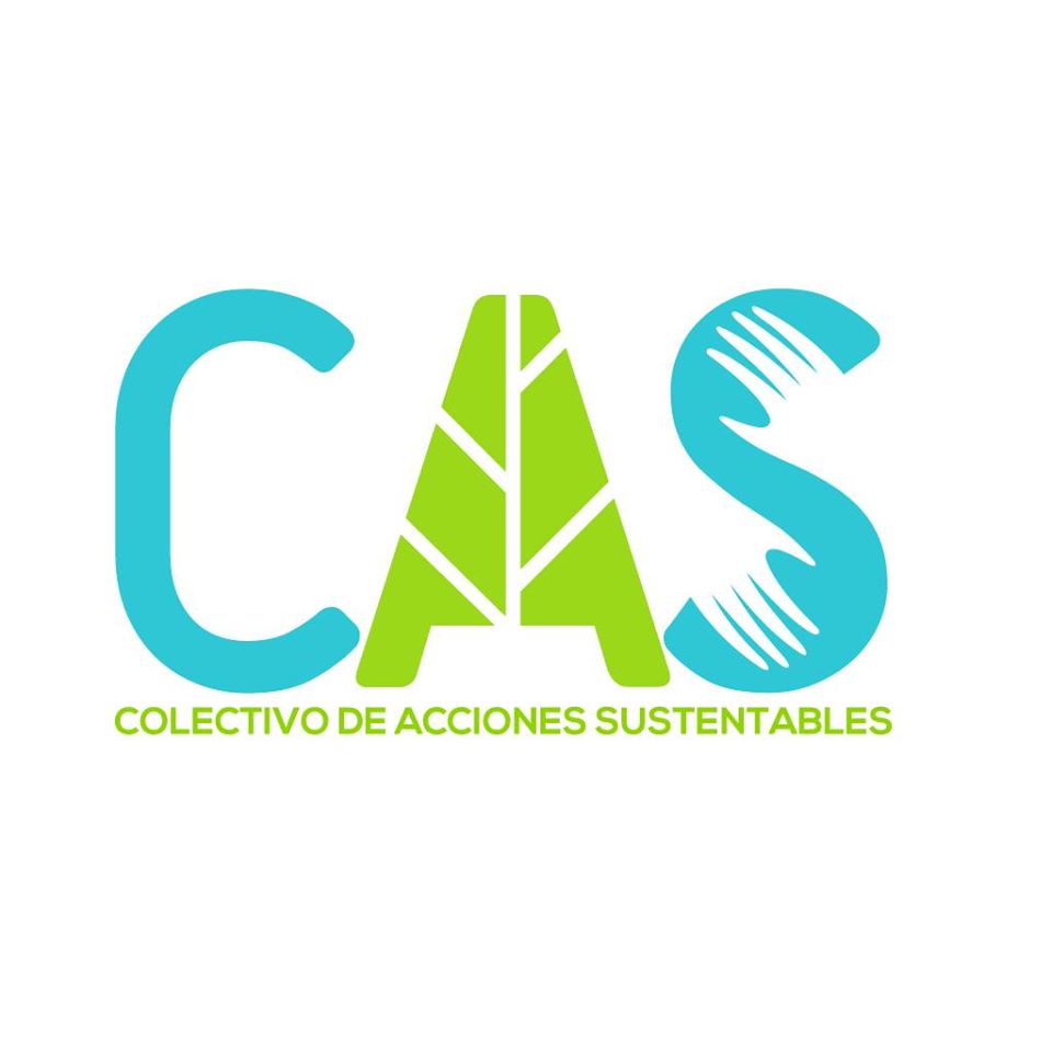Logo for CAS