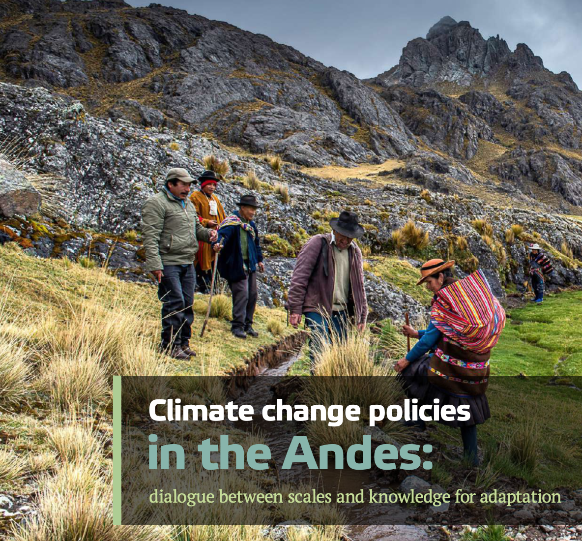 Climate Change policies in the Andes