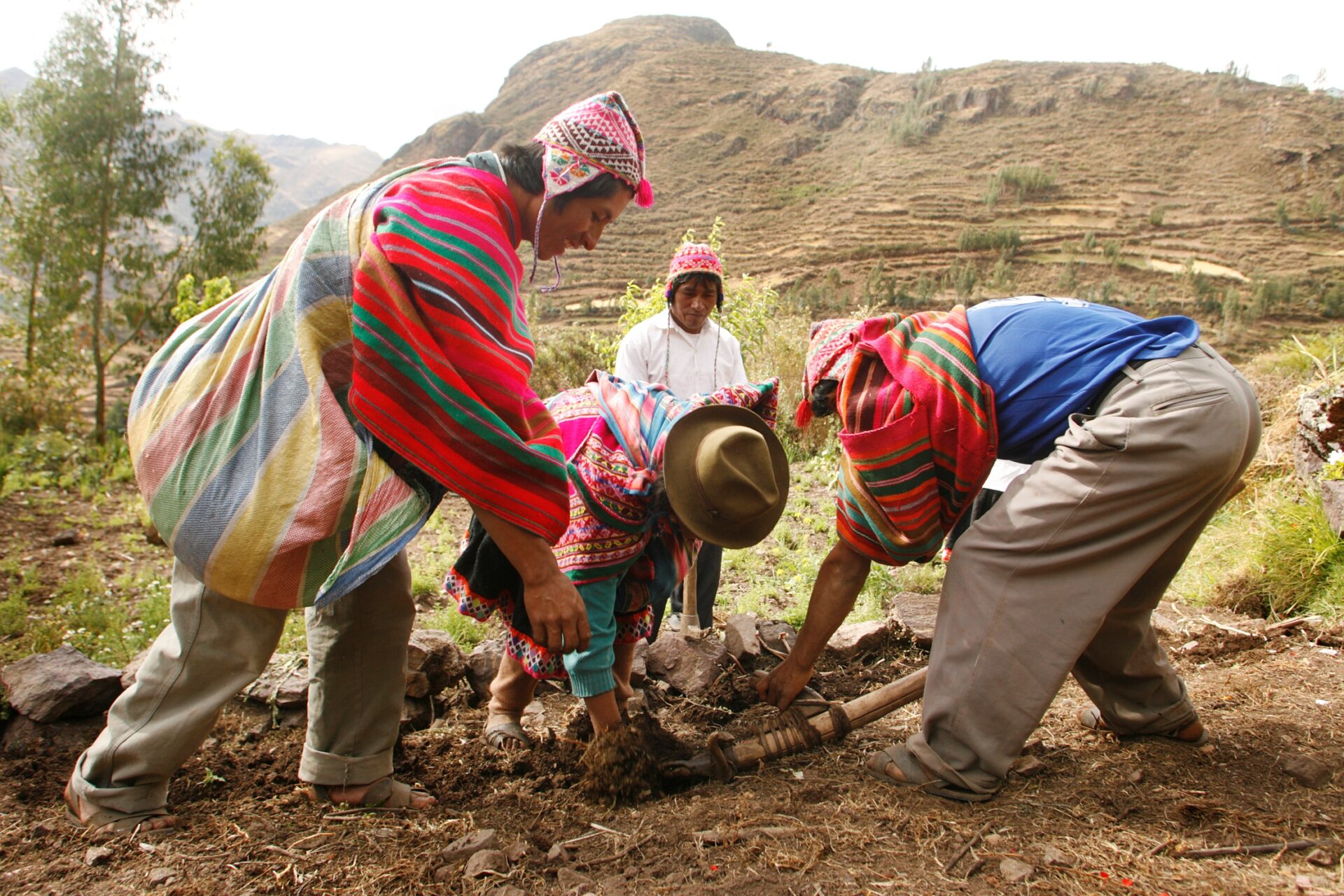 Smallholder farmers Peru ©Enrique Castro-Mendívil / PromPerú