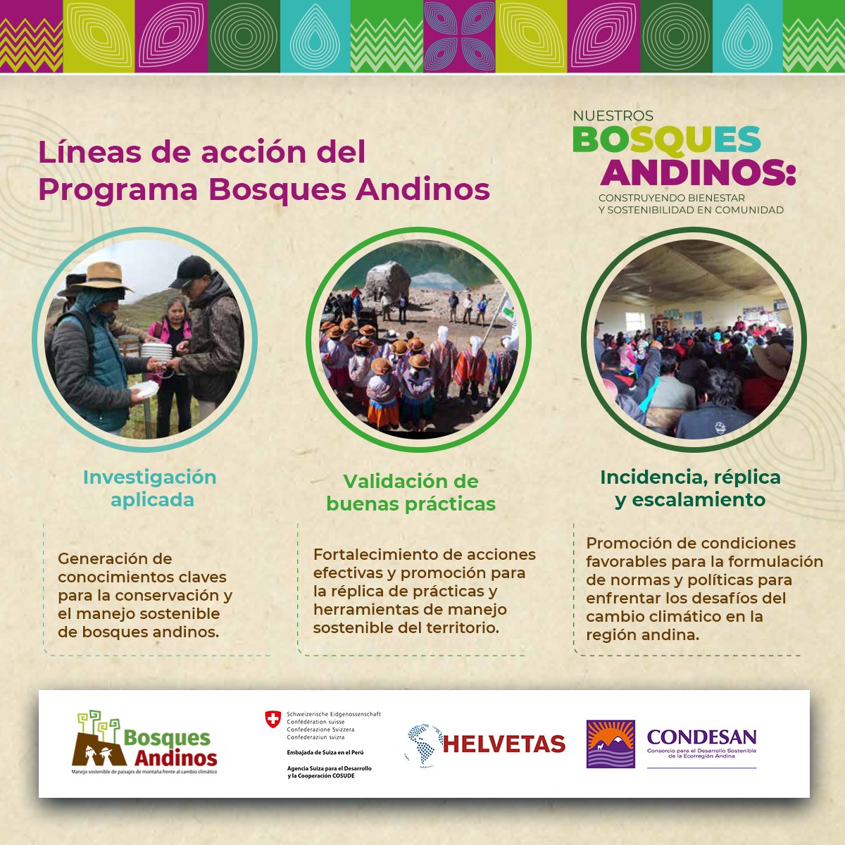 Infographic about the Andean Forest Program