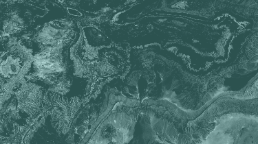 topographical map of a forest