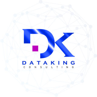 Dataking Consulting Logo