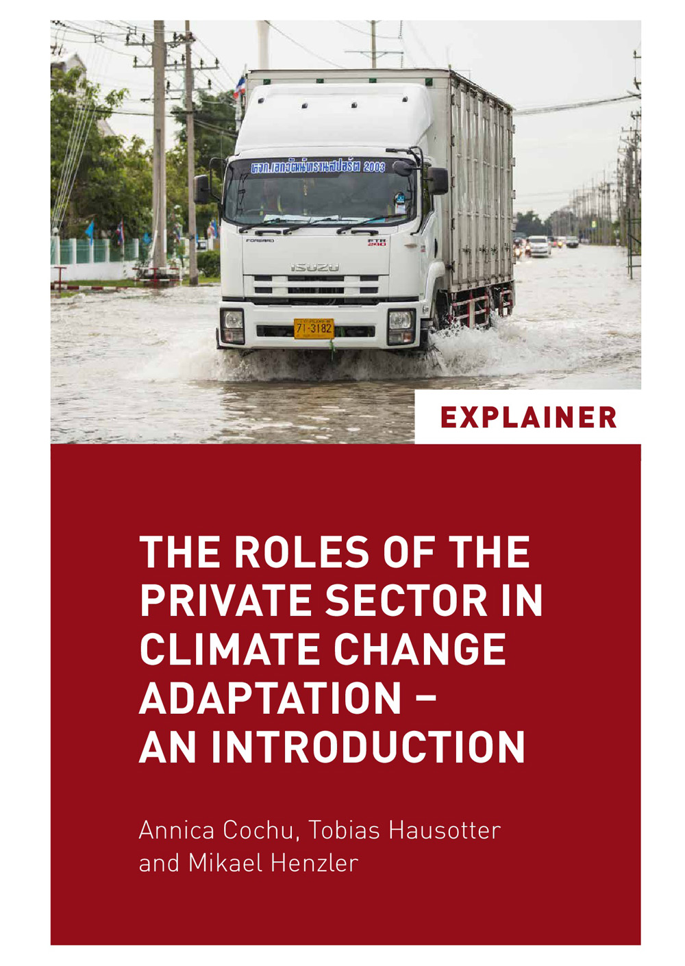The Roles of the Private Sector in Climate Change Adaptation - an Introduction