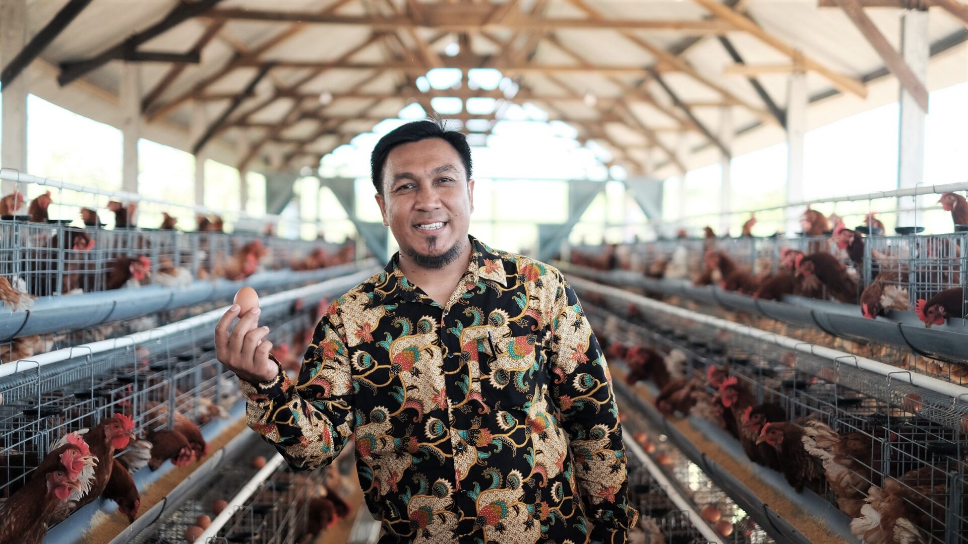 The pilot climate smart chicken shed carries a number of innovations and benefits for local farmers. Photo: Nyoman Prayoga/USAID APIK