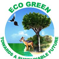 eco green logo