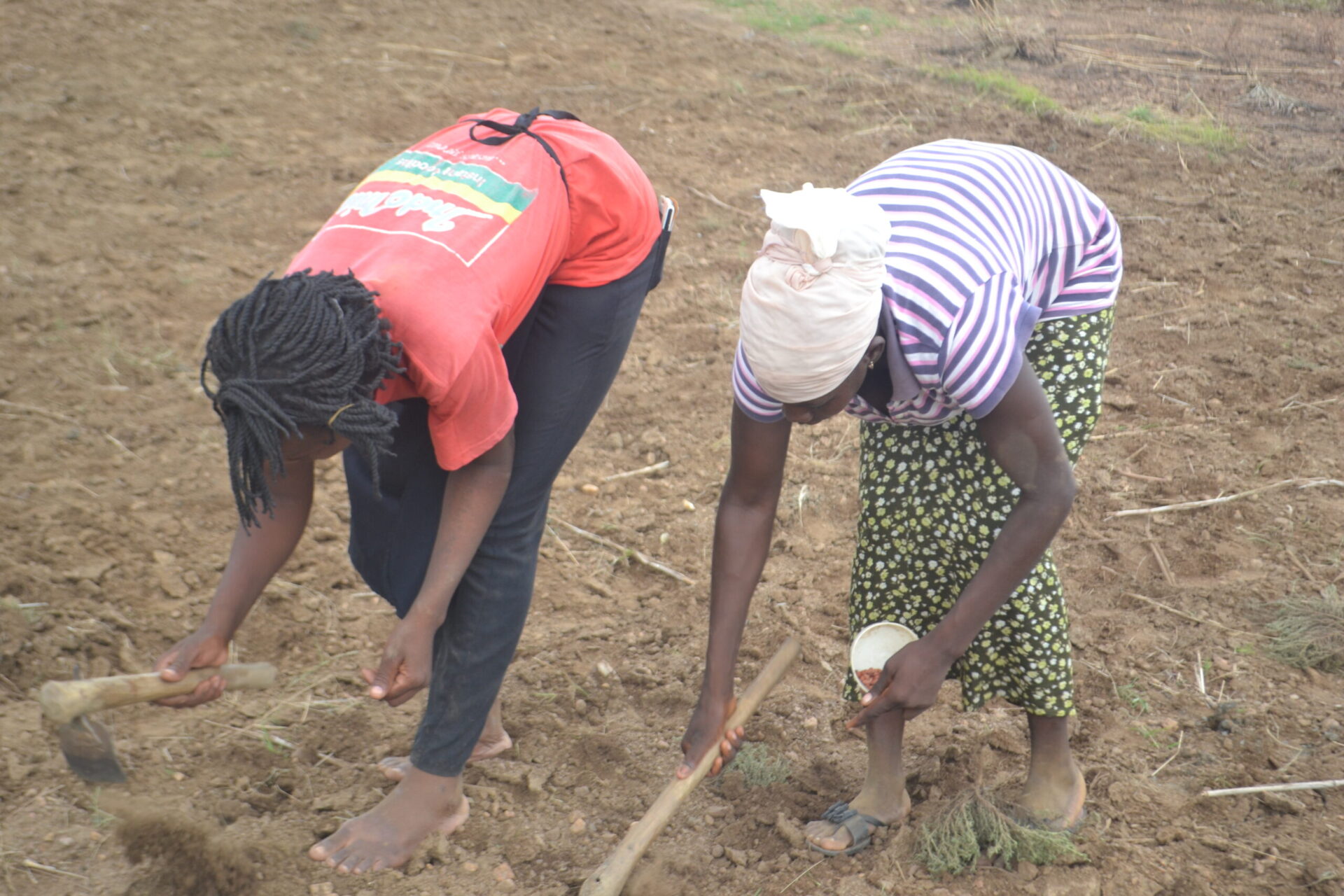 Women farming in Ghana