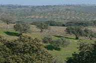 GUadiana landscape
