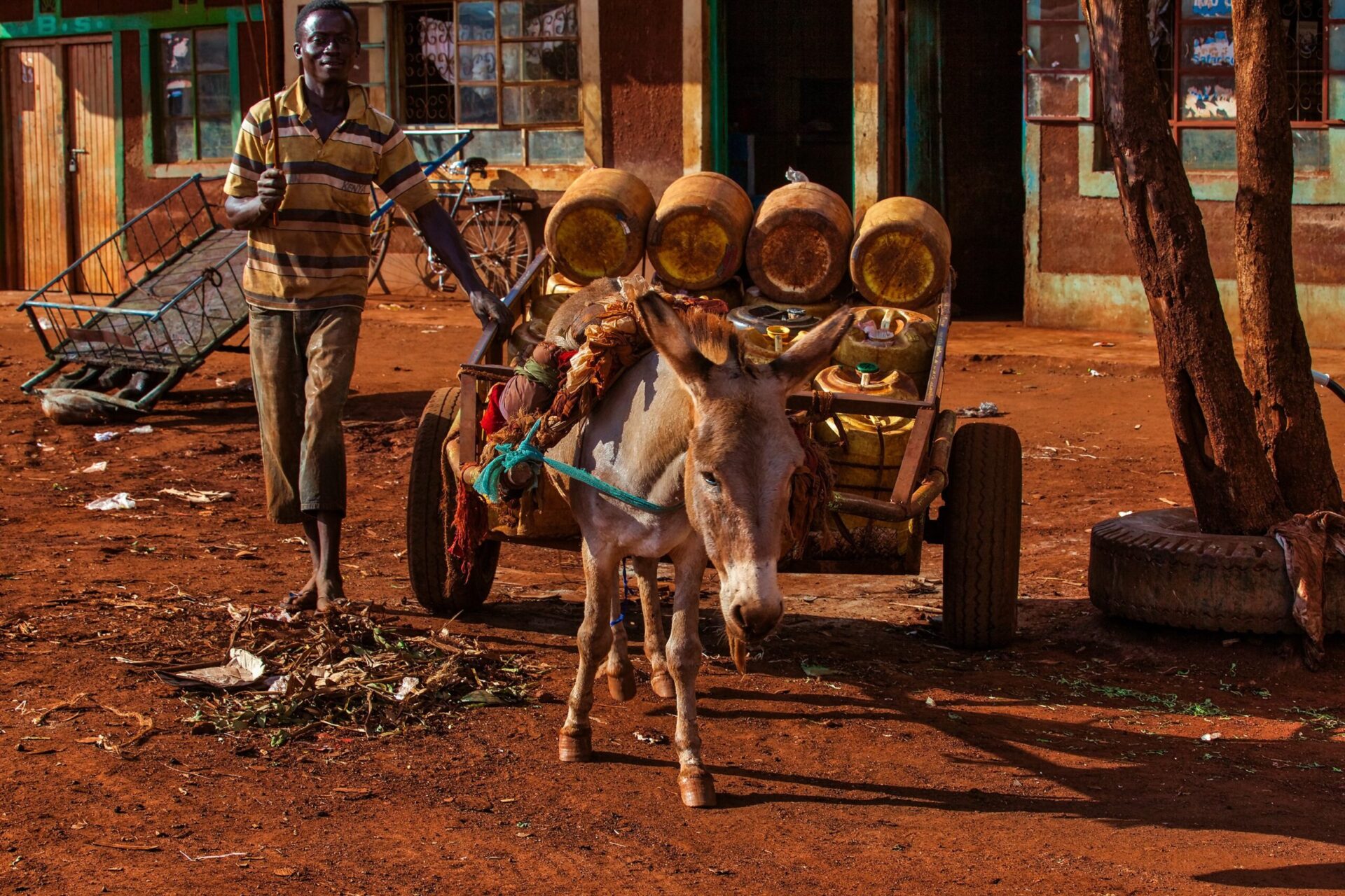 Kenya - April 07, 2018:Kenyan Waterman - Water Seller with Donkey and cart and He is going to water resource and He will fill the plastic barrels with the water.