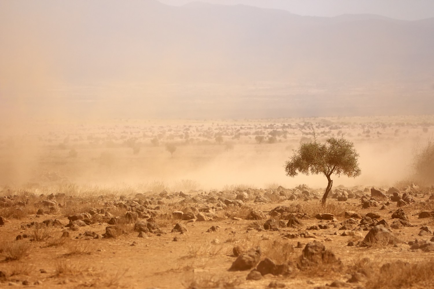 Dusty plains during a severe drought in Kenya: Climate change has increased the frequency and magnitude of extreme weather events that have led to a loss of lives, diminished livelihoods, reduced crop and livestock production, and damaged infrastructure, among other adverse impacts.