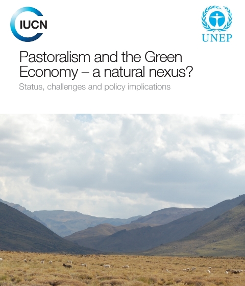 Cover of Pastoralism and the Green  Economy – a natural nexus?