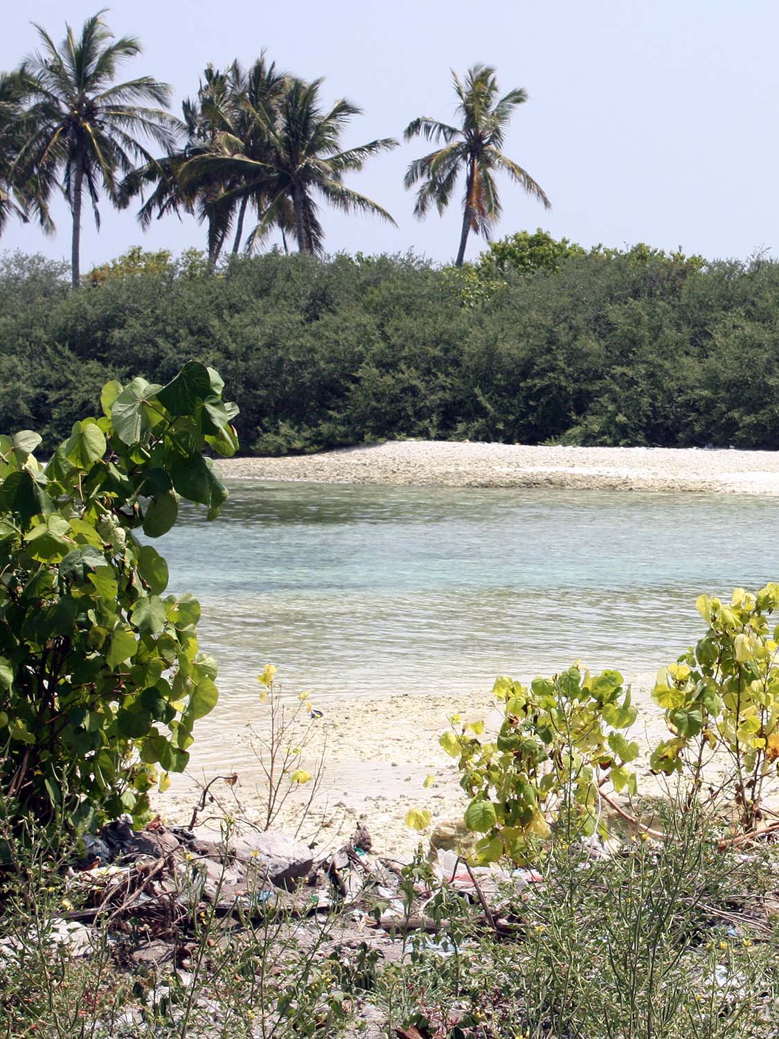 Maldives, a small island developing state.