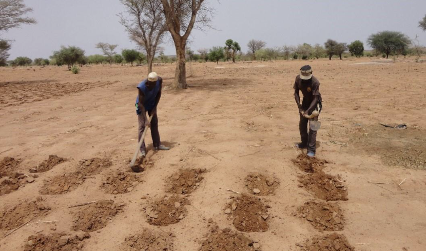 Cover Photo: Sahel Eco, June 2016. Farmers in Dianweli village, Konna Commune, plant millet using the zaï technique, which involves constructing pits to capture water and condense compost.