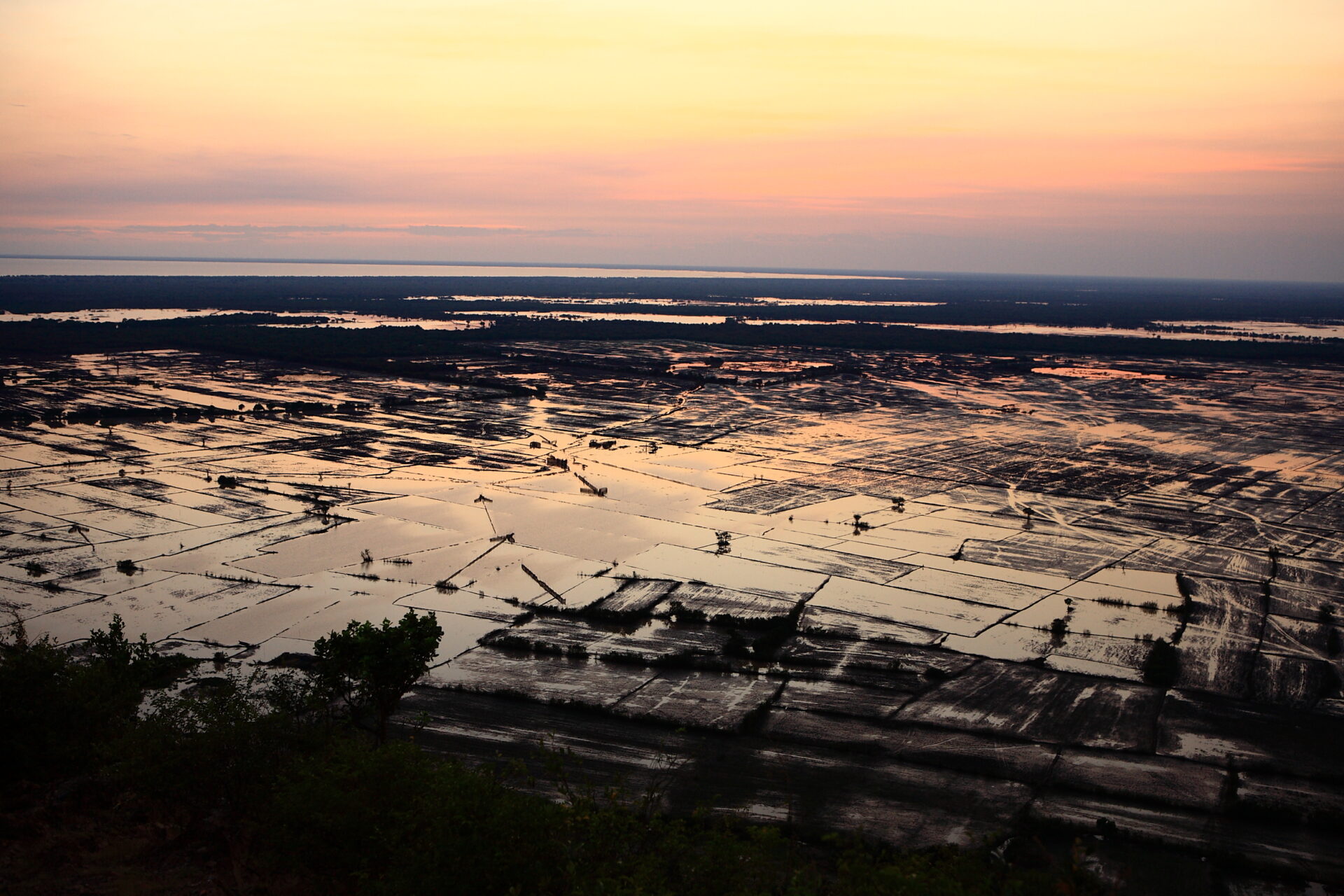 Dawn breaks over the rice paddy fields in the Mekong delta