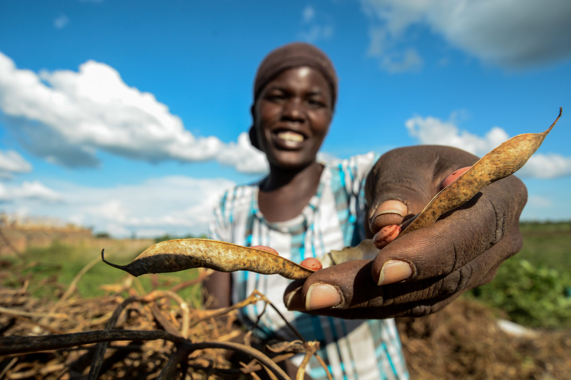 Female farmer in Uganda showing bean harvest.