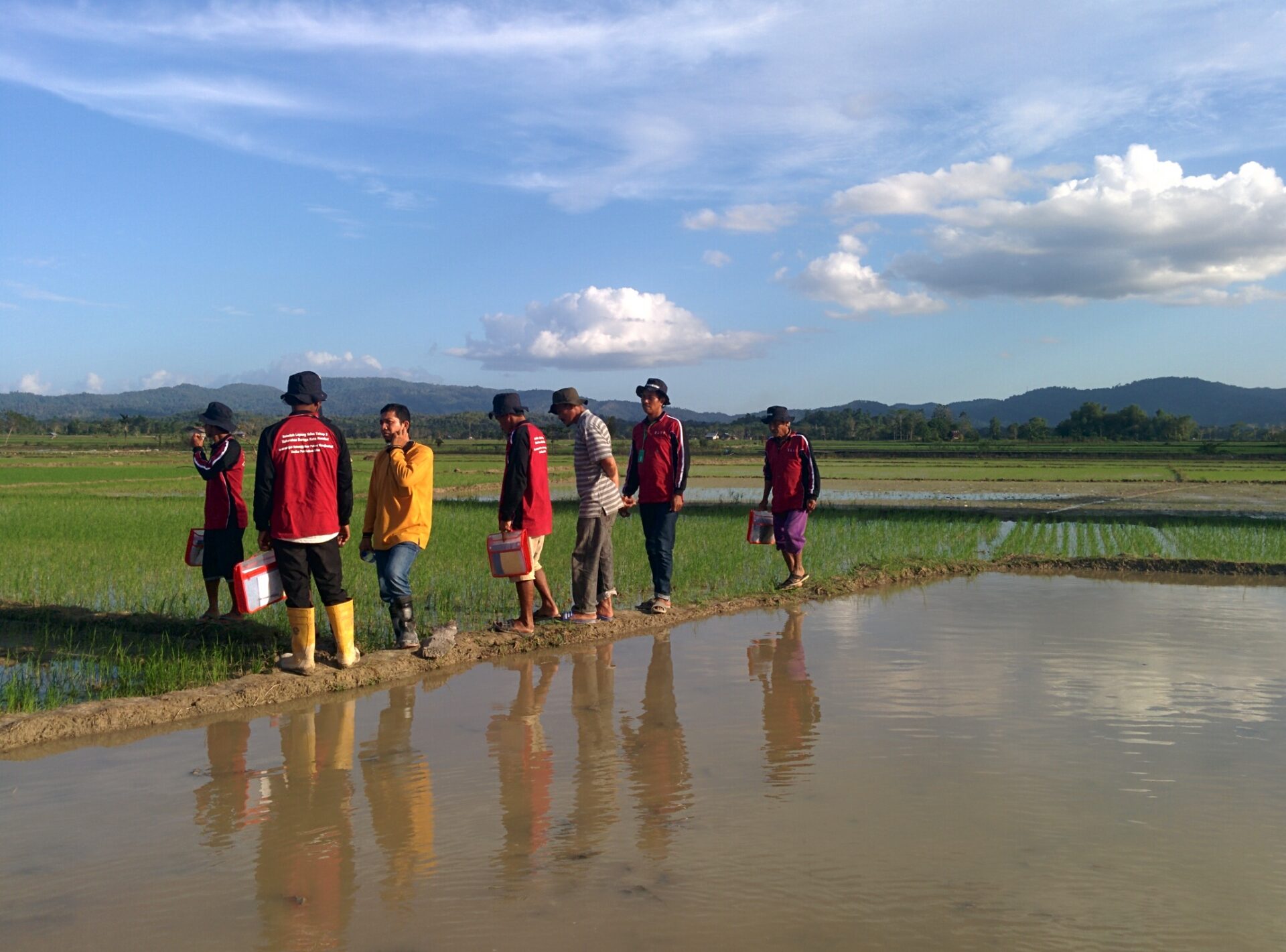 Paddy field observation during Climate Field School in Baruga Village, Kendari. Photo by Mohammad Fadli for USAID APIK