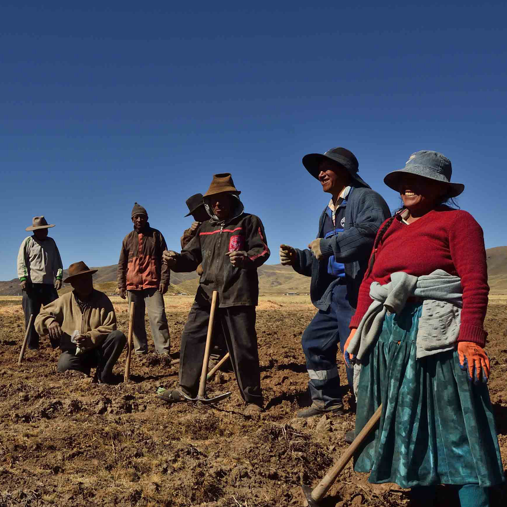 The picture shows a group of small-scale farmers preparing their farmland