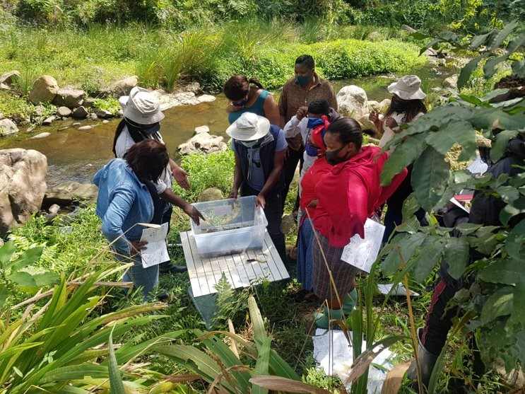 People gathered around samples from the river in the Palmiet River Rehabilitation project in Durban, South Africa. Image credit: Durban Research Action Partnership​.