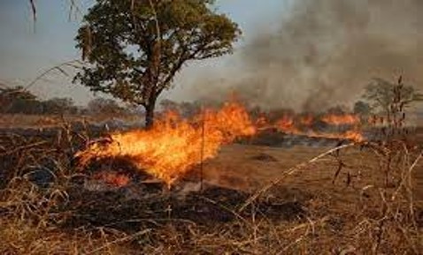 Dry season in northern Ghana Ghana National Fire Service, 2019
