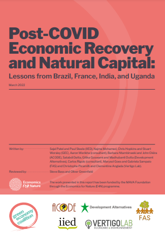 Post-COVID Economic Recovery and Natural Capital