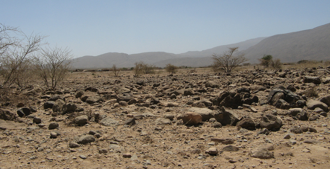 Ethiopian Drylands