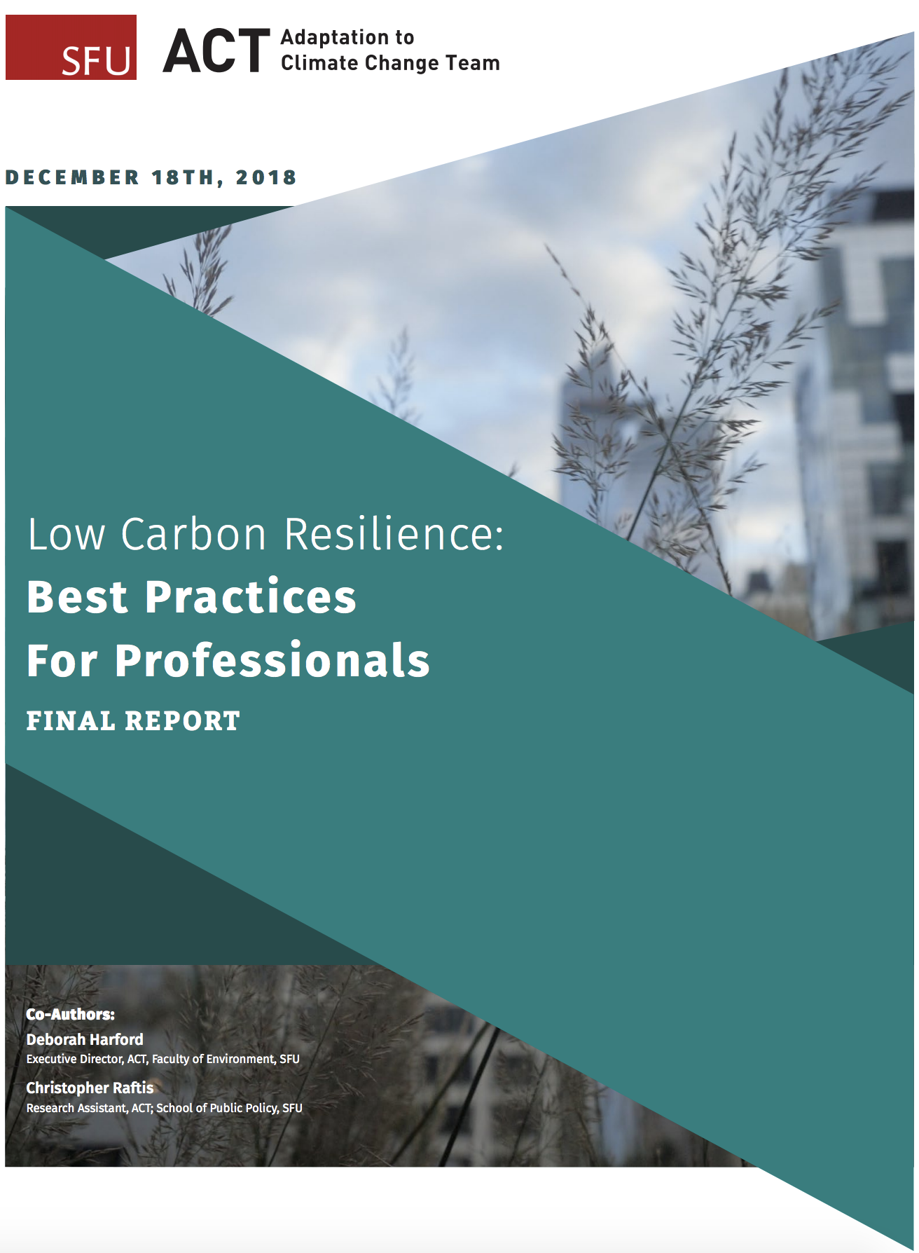 Low Carbon Resilience Best Practices for Professionals