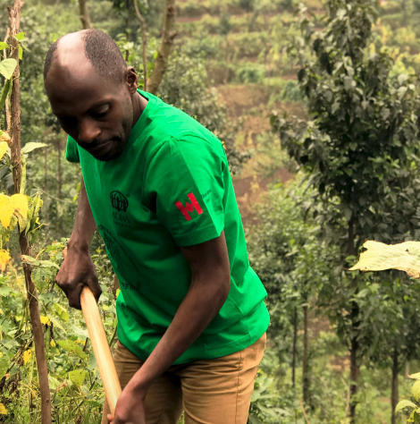 Farming in Rwanda