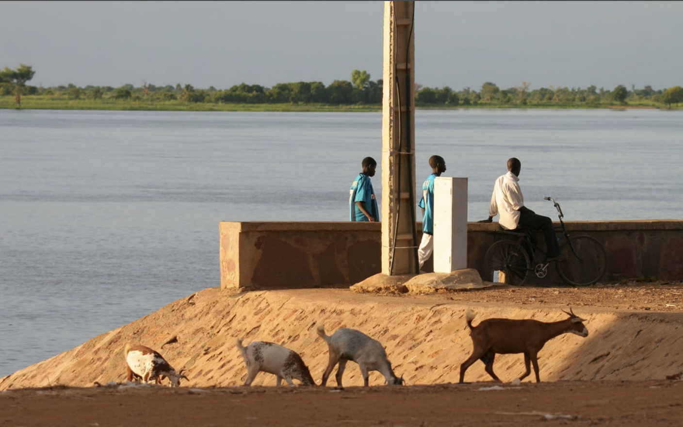 Fishermen and Sahelian goats by the Niger River