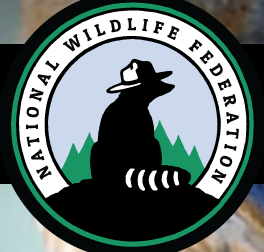 a racoon with a hat sits in a circle with the words national wildlife federation