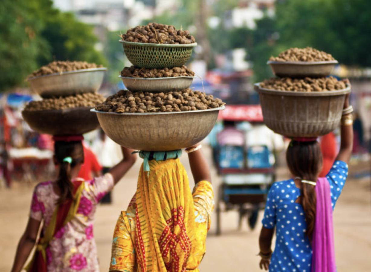 Women in saris carrying dung on their heads